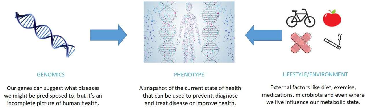 precision health nursing